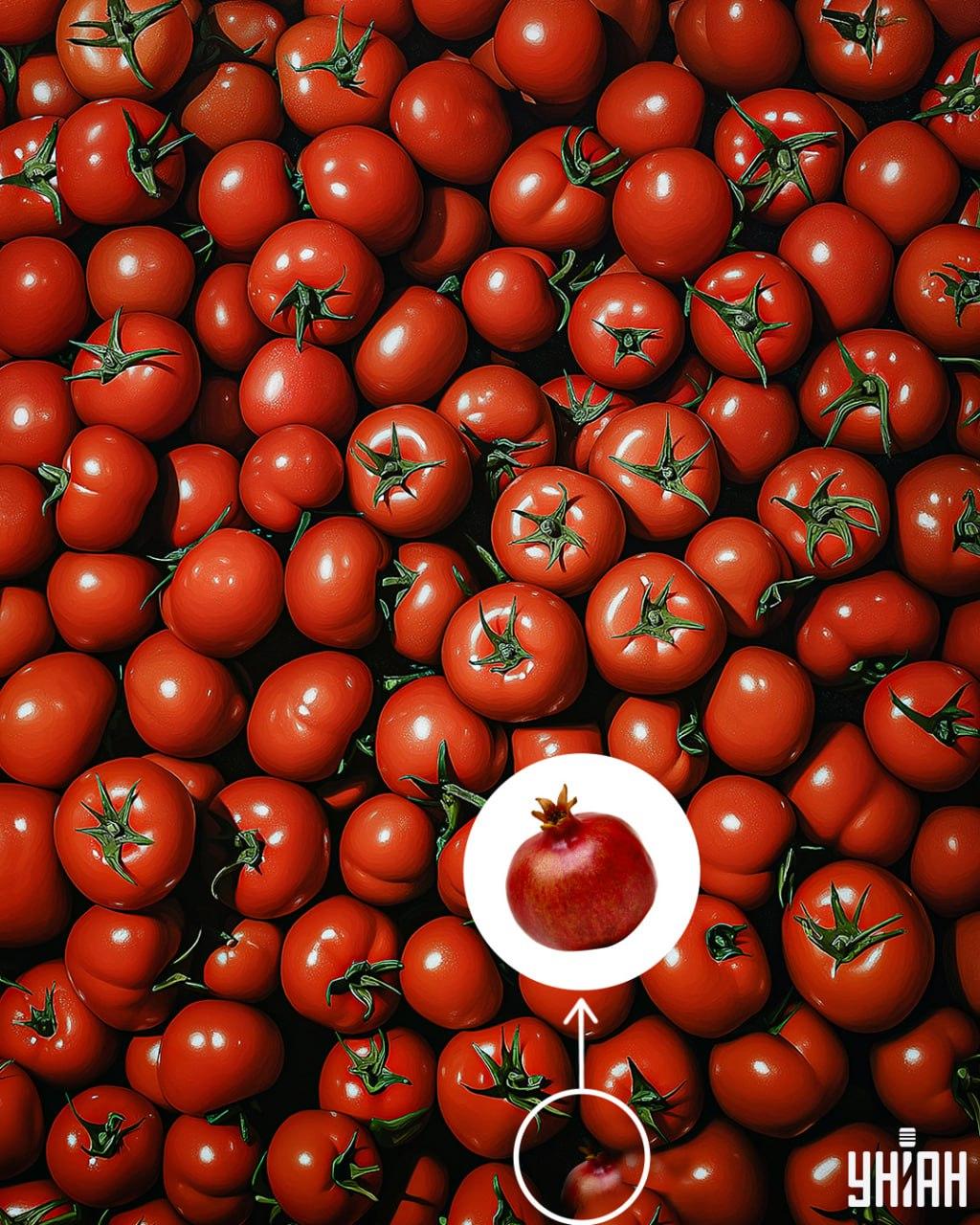 Solução: A romã encontrada Solução do desafio: A romã está circulada em vermelho