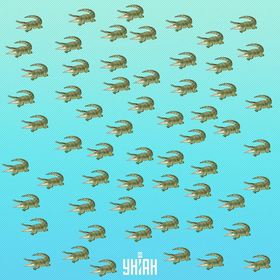 O réptil escondeu-se, mas deve ser visto em 15 segundos / Colagem Moje O réptil está escondido, mas deves vê-lo em 15 segundos / Collage Moje