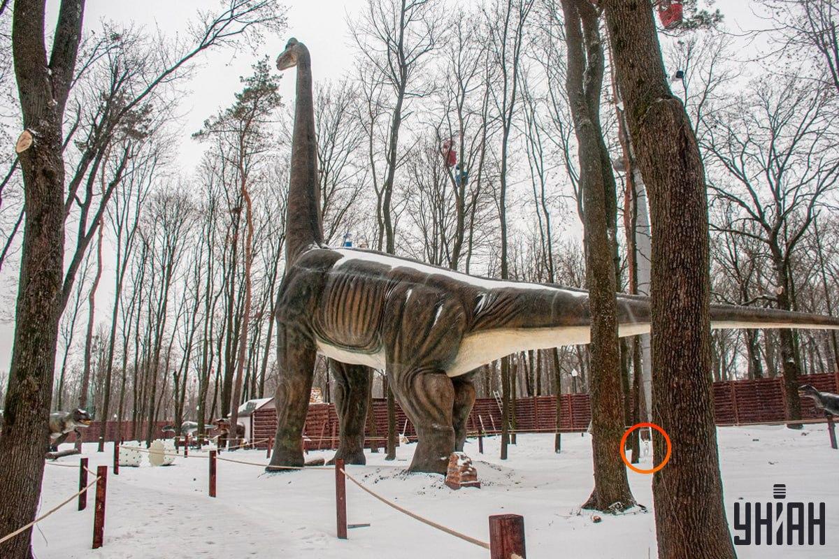 O cão estava perto do canto inferior esquerdo da fotografia / Moje collage O cão estava perto do canto inferior esquerdo da fotografia / colagem Moje