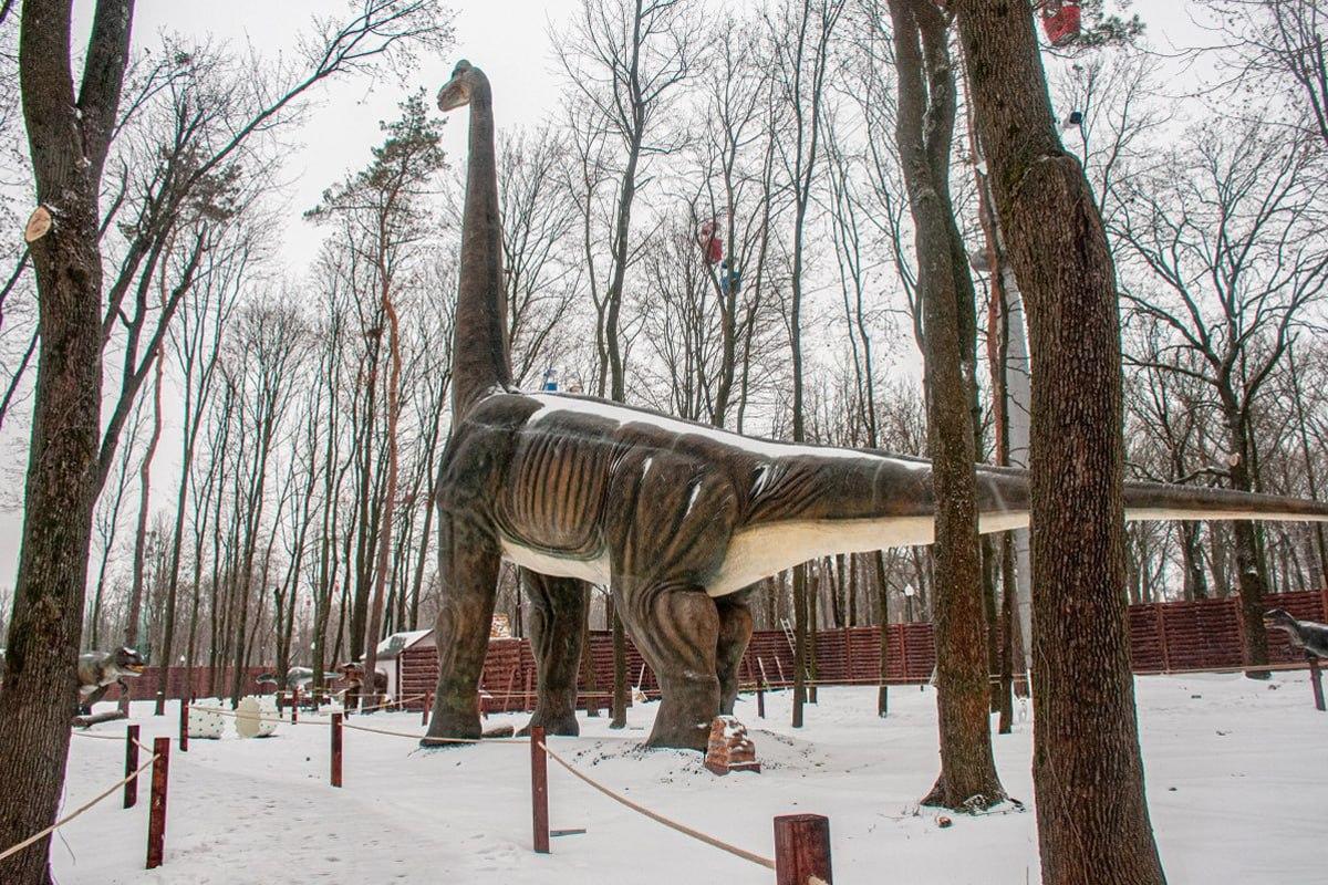 Encontrar um cão na neve em 10 segundos / colagem Moje Encontrar um cão na neve em 10 segundos / colagem Moje