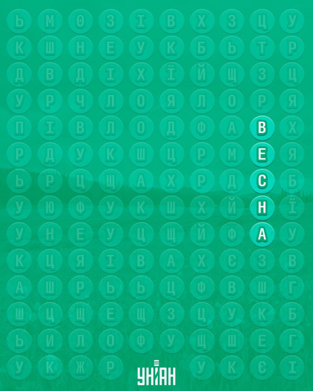 98% das pessoas não conseguem encontrar a palavra 'primavera' em 10 segundos: um puzzle surpreendentemente difícil