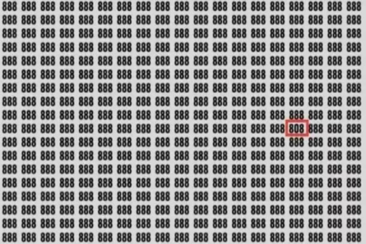 A resposta ao enigma / foto de Jagran Josh