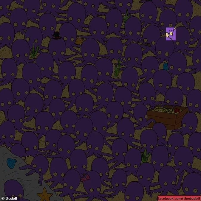 Solução do puzzle Solução do puzzle com o peixe circulado