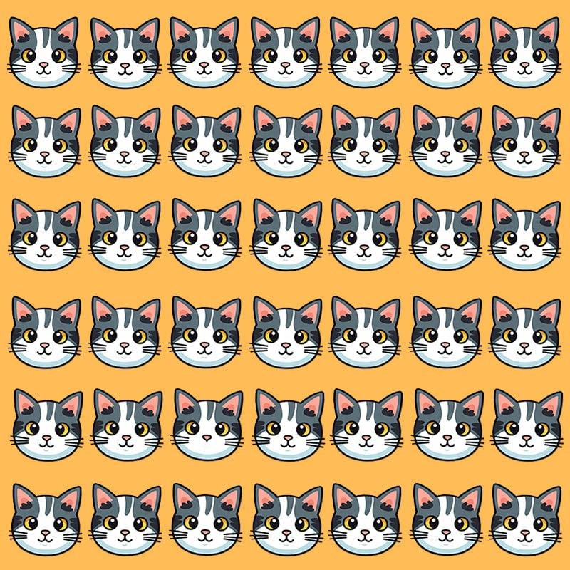 Esta ilusão de ótica só é possível para pessoas com um QI grandioso / imagem Moje