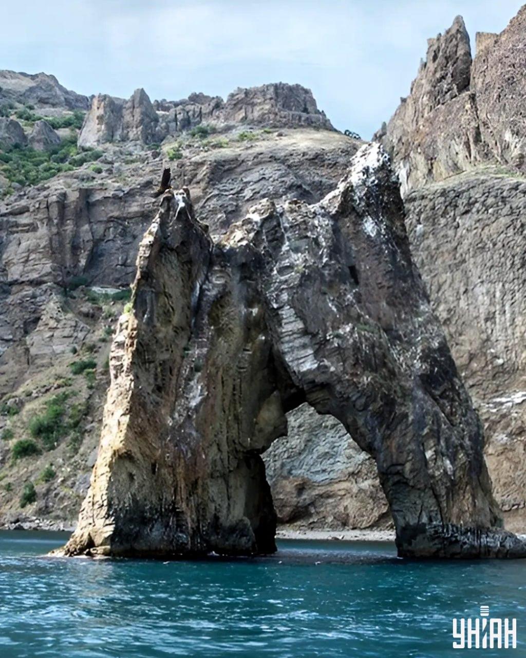 Demora menos de 10 segundos a encontrar a águia na imagem do puzzle / colagem com foto da Moje Demora menos de 10 segundos a encontrar a águia na imagem do puzzle / colagem com a fotografia da Moje