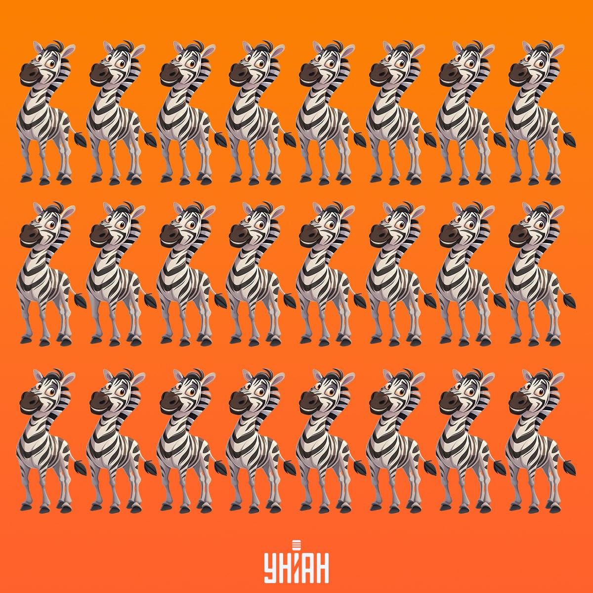 Está na altura de encontrar a zebra que não é como as outras / colagem Moje Está na altura de encontrar uma zebra que não seja como as outras / colagem Moje