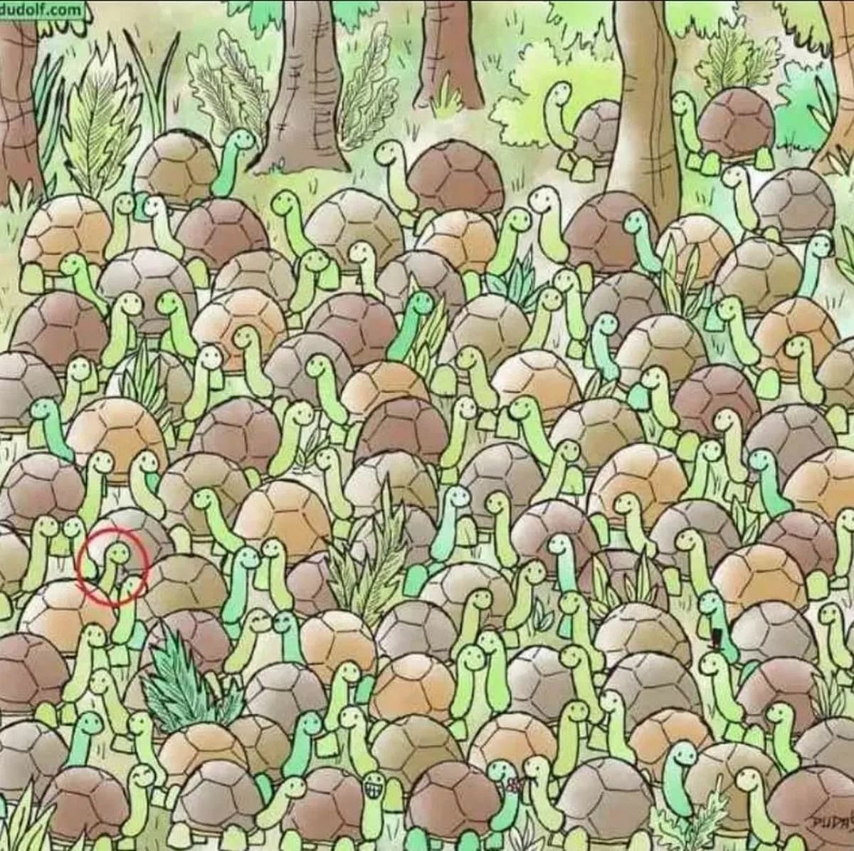 A resposta correta para o puzzle A resposta correta ao puzzle