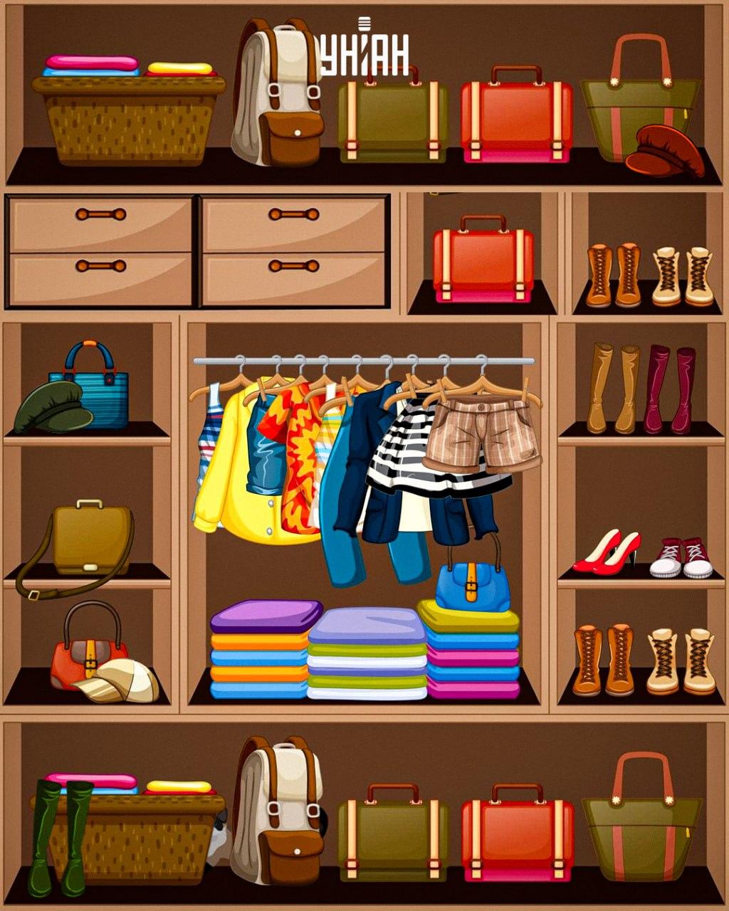 Preciso de encontrar um gato astuto / colagem Moje Procura um gato astuto / colagem Moje