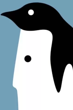 O que é que viste primeiro na imagem? O que é que viu primeiro na imagem?