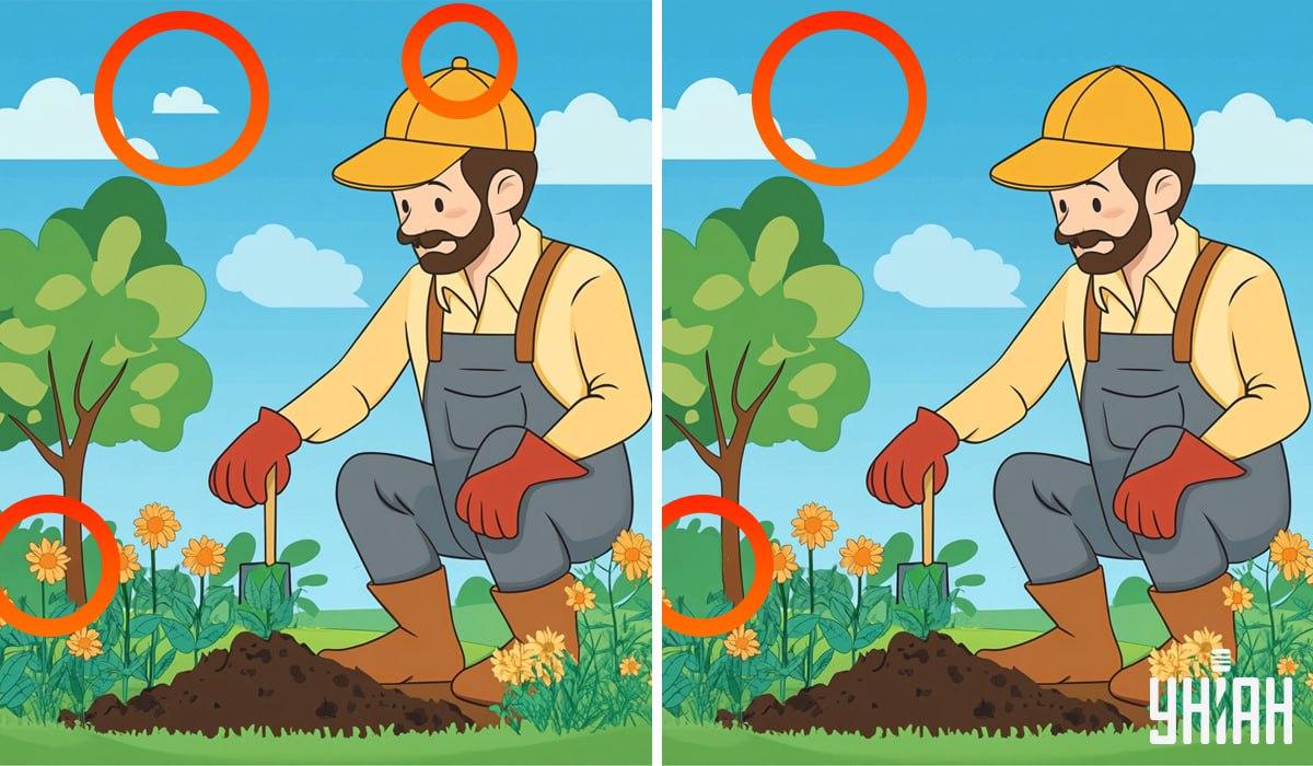 Colagem Moje com soluções