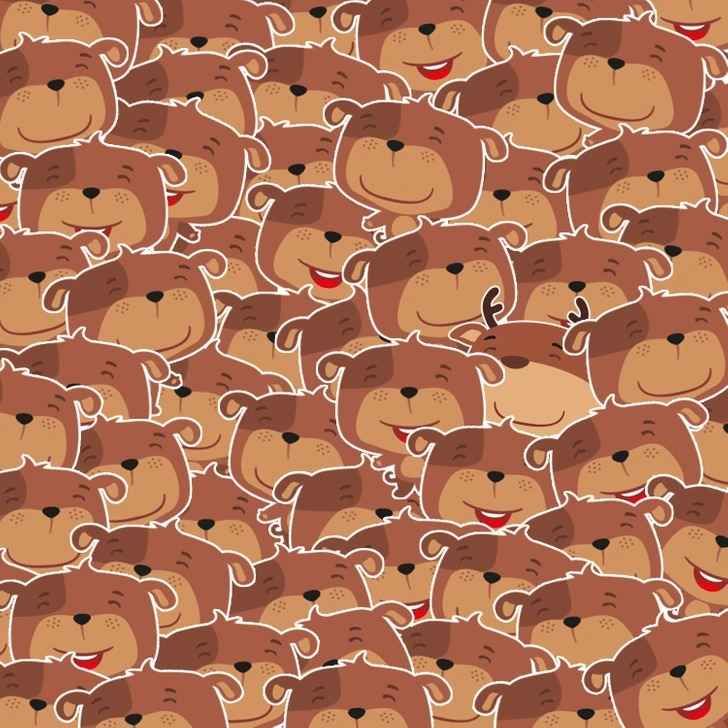 Só as pessoas com QI elevado conseguem lidar com isto: é preciso encontrar um veado entre os ursos Só as pessoas com QI elevado conseguem lidar com isto: é preciso encontrar o veado entre os ursos