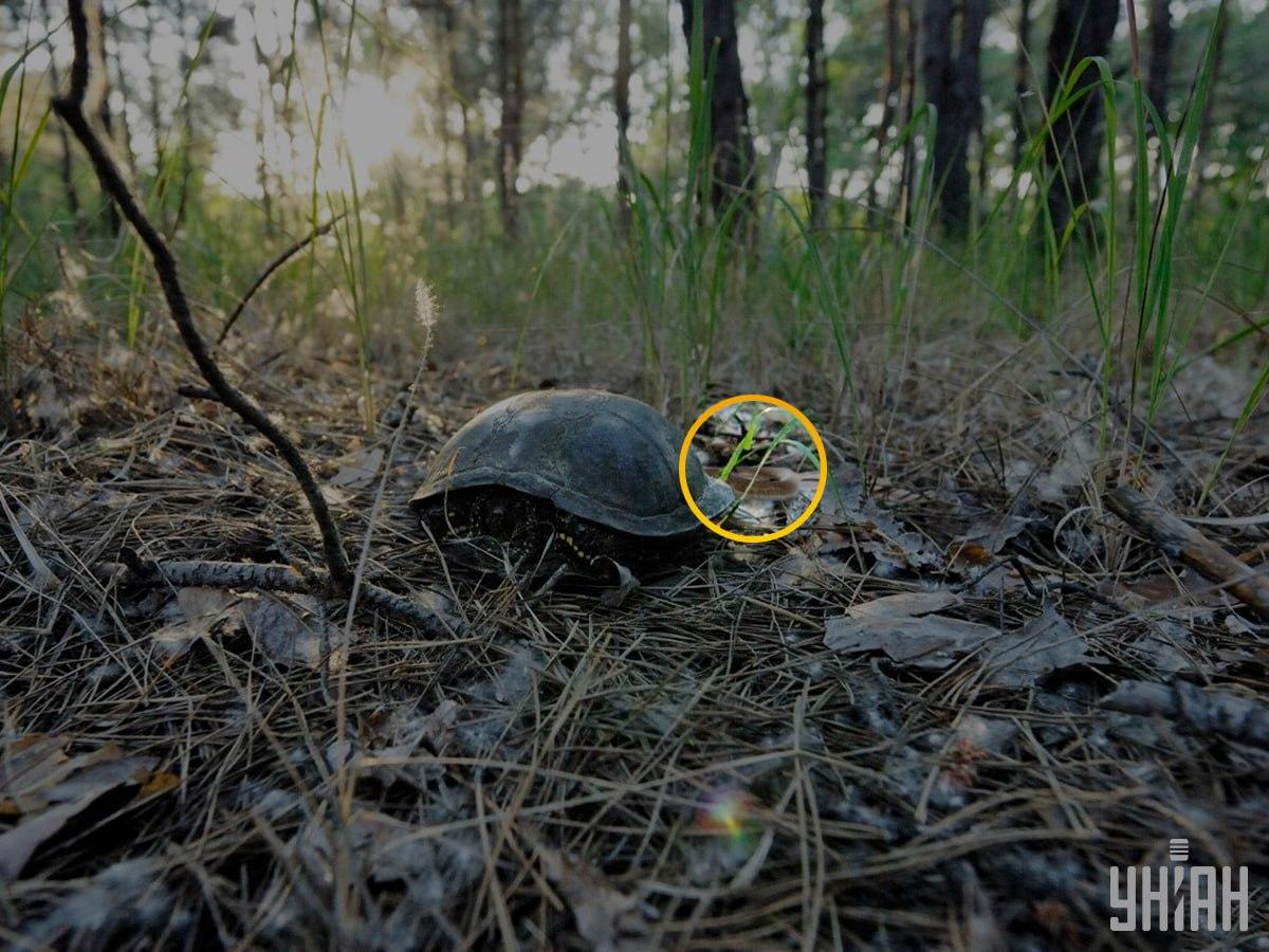 Foto Moje com a solução