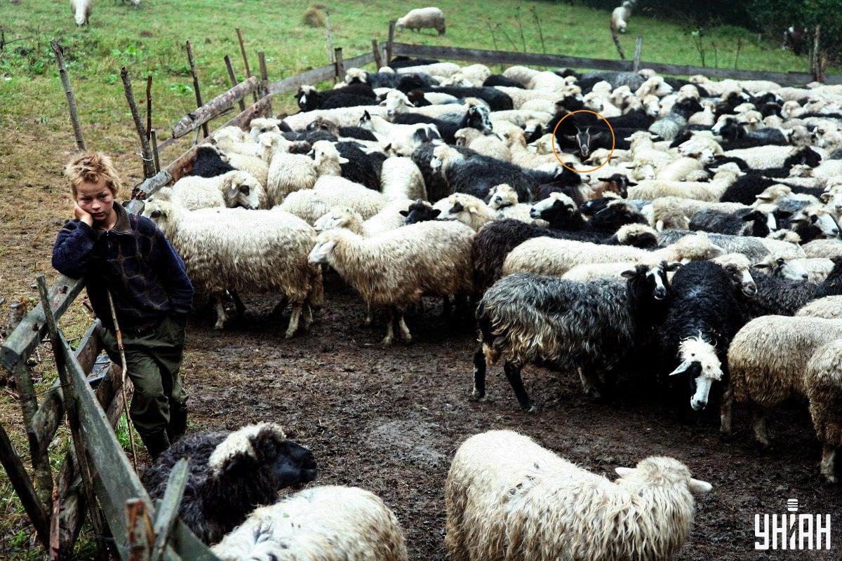 Foto Moje com a solução