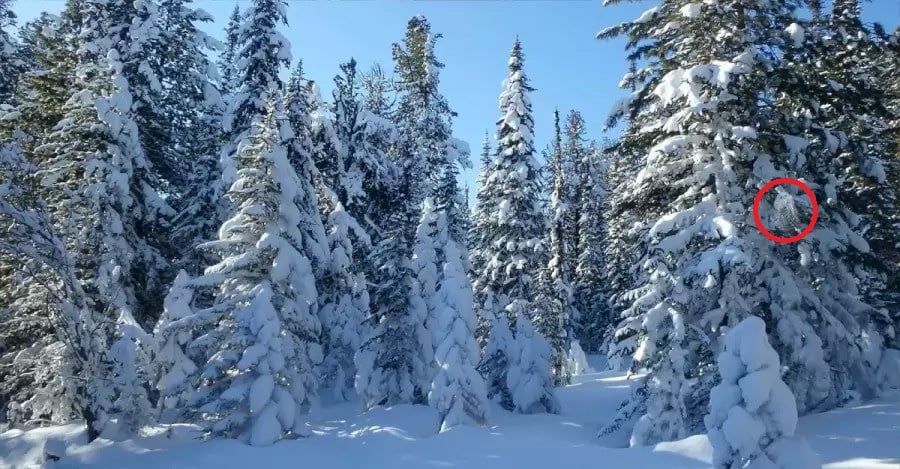Ilusão de ótica Ilusão de ótica