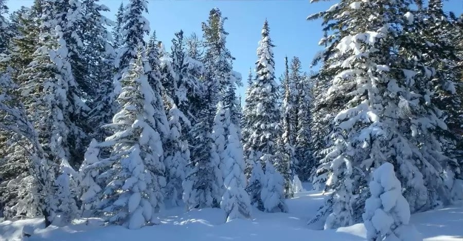 Ilusão de ótica Ilusão de ótica