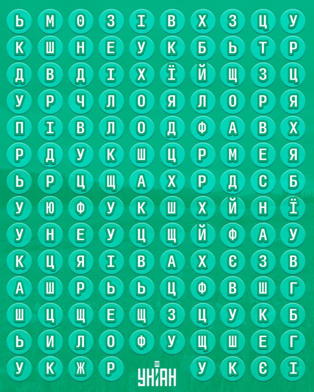 98% das pessoas não conseguem encontrar a palavra 'primavera' em 10 segundos: um puzzle surpreendentemente desafiante