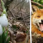 A ilusão de ótica vai mostrar-te q é o teu