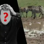 Teste de QI rápido: encontrar um cão num campo em 6 segundos Teste de QI rápido: encontrar um cão num campo em