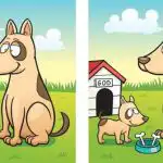 Teste de QI: tem de encontrar 5 diferenças entre uma