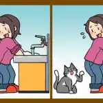 Teste de super QI: encontrar 3 diferenças numa fotografia de uma mulher com um gato em 19 segundos Teste de super QI: encontrar 3 diferenças numa fotografia de